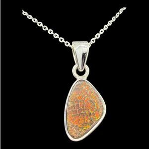 Natural Ammonite Pendant Necklace 925 Sterling Silver 18in Chain Handmade